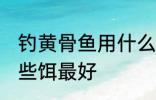 钓黄骨鱼用什么饵最好 钓黄骨鱼用哪些饵最好