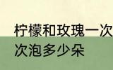 柠檬和玫瑰一次泡几朵 柠檬和玫瑰一次泡多少朵