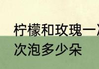 柠檬和玫瑰一次泡几朵 柠檬和玫瑰一次泡多少朵