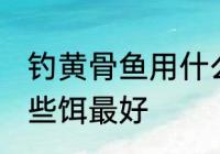 钓黄骨鱼用什么饵最好 钓黄骨鱼用哪些饵最好