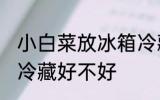 小白菜放冰箱冷藏好吗 小白菜放冰箱冷藏好不好